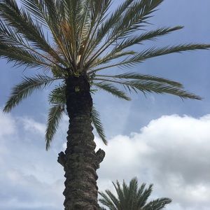 Meet your Posher, Maddy